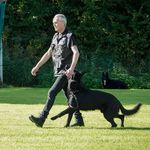 Peter de Vos - @peter__de__vos - Instagram