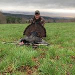 Peter Dewitt - @peterdewitt43 - Instagram