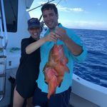Peter DeWitt - @peter.dewitt.98 - Instagram