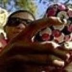 Peter Odima - @odima.peter.dexter - Instagram