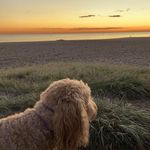 Peter Dickens - @peter.dickens.92 - Instagram