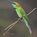 Peter Disolo - Facebook