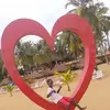 Peter Diem's - @peter.diems - TikTok