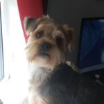 Peter Dignan - @peter.dignan.794 - Instagram