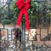 Peter Dillard - Facebook