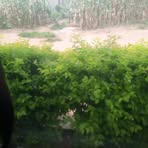 Dorah Peter - Facebook