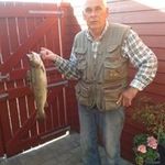 Peter Dittmer - @peterdittmer - Instagram