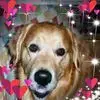peterdoherty697 - @peterdoherty697 - TikTok