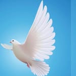 Peterdolley809 - @peterdolley809 - Instagram