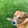 Peter Donovan - @peter.donovan7 - TikTok