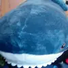 Peter Donovan - @peterbro17 - TikTok