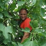 Peter Dormann - @peterdormann - Instagram