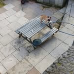 Peter Dorsett - @peter.dorsett198543 - Instagram