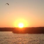 Peter Dove - @dove_peter - Instagram