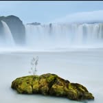 Peter_dowdell - @mulle_r67 - Instagram