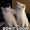 peterdowdy - @peterdowdy - TikTok