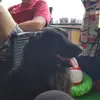 Peter Drees - @peterdrees7 - TikTok
