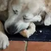 Peter Dreesen688 - @peterdreesen688 - TikTok