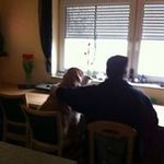 Peter Dreesen - @dreesenpeter - Instagram