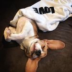 Peter K. Duarte - @peter.k.duarte - Instagram