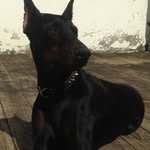 Peter Dubyna - @peterdubyna - Instagram