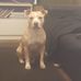 Peter Dunn - Facebook