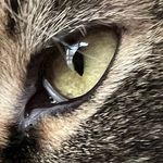 Peter Dunn, Portraitist - @peterdunnphoto - Instagram
