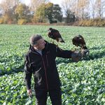 Peter Durkin - @peter.durkin.54 - Instagram