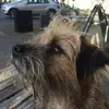 petereaton06 - @petereaton06 - TikTok
