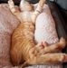 Peter Eberlein - Facebook