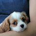 Peter Eberlein - Facebook