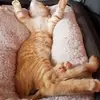 Peter Eberlein - @usern2vjl4z4xf - TikTok