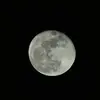 Peter Ebner498 - @peterebner498 - TikTok