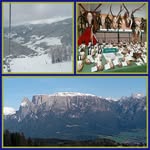 peter ebner - @ebner3981 - Instagram