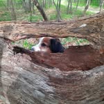 Peter Ebner - @ebner9999 - Instagram