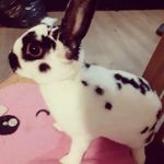 Peter Ebner - @peter_ebner73 - Instagram