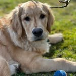 Peter Eccles - @peter.eccles.7731 - Instagram