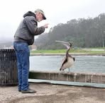Peter Eckman - Facebook