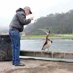 Peter Eckman - @eckman.peter - Instagram