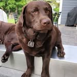 Peter Edelstein - @psedelstein - Instagram