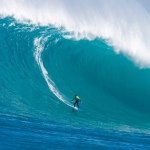 Peter Edmunds - @peteeddo - Instagram