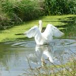 Peter Edmunds - @peter.edmunds.5074 - Instagram