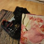 Peter Eggert - @eggertpeter - Instagram