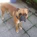 Peter Eggert - Facebook