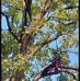 Peter Eichinger - Facebook