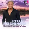 Peter Reichinger - @peterreichinger - TikTok