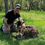 Peter Eisele - @eiselepeter - Instagram