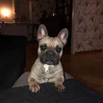 Peter Ekström - @peter.ekstrom.5015 - Instagram