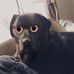 Pete Elkin - Facebook
