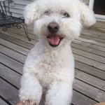 Peter Elkin - @elkinpd - Instagram